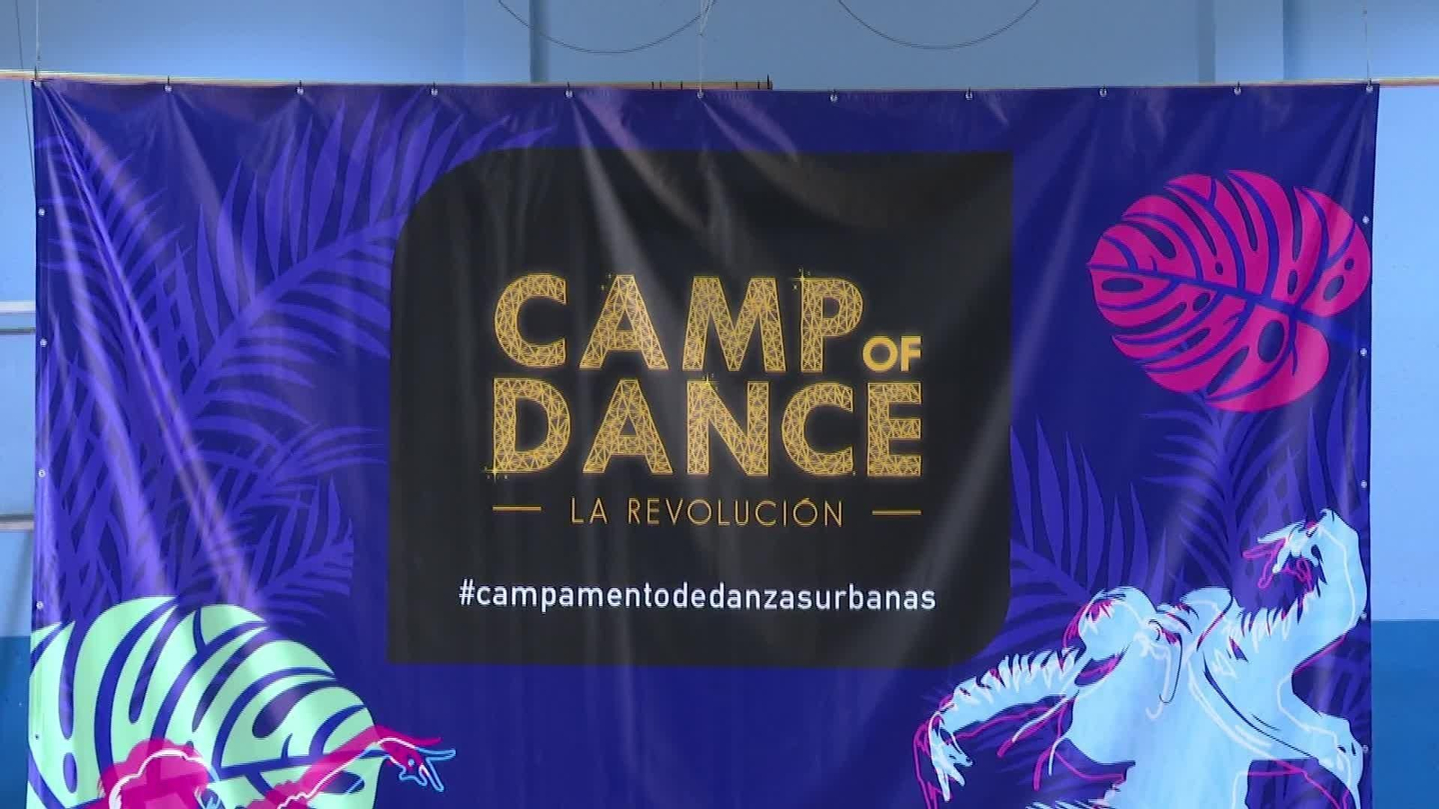J613-MADRID CAMPAMENTO BAILE ADULTOS