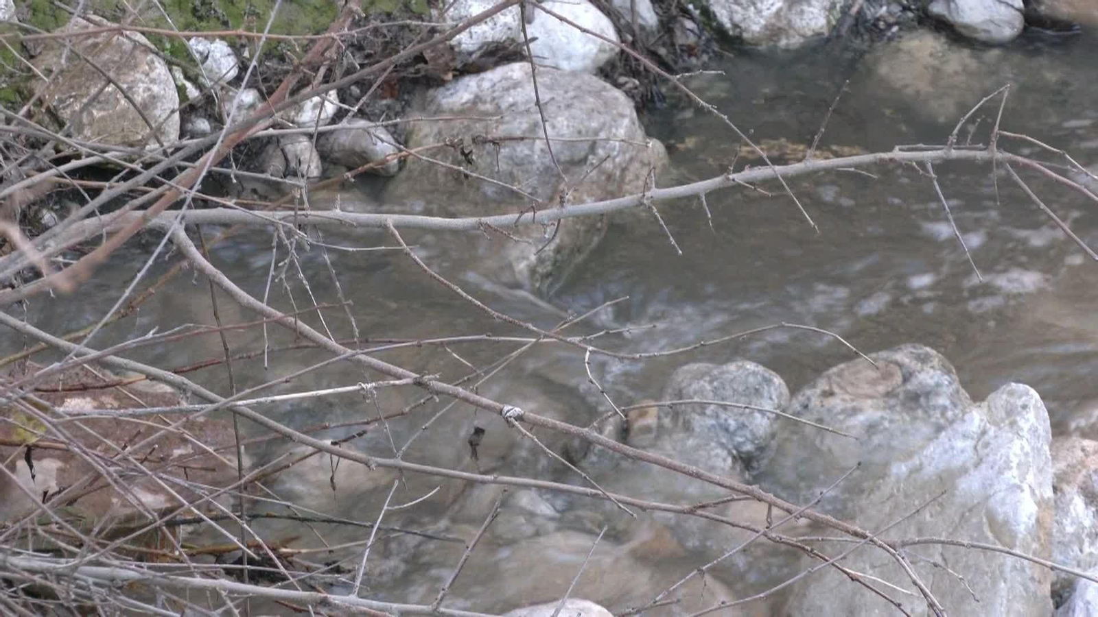 L043-GRANADA MOTORISTA FALLECIDO AMPLIACIÓN