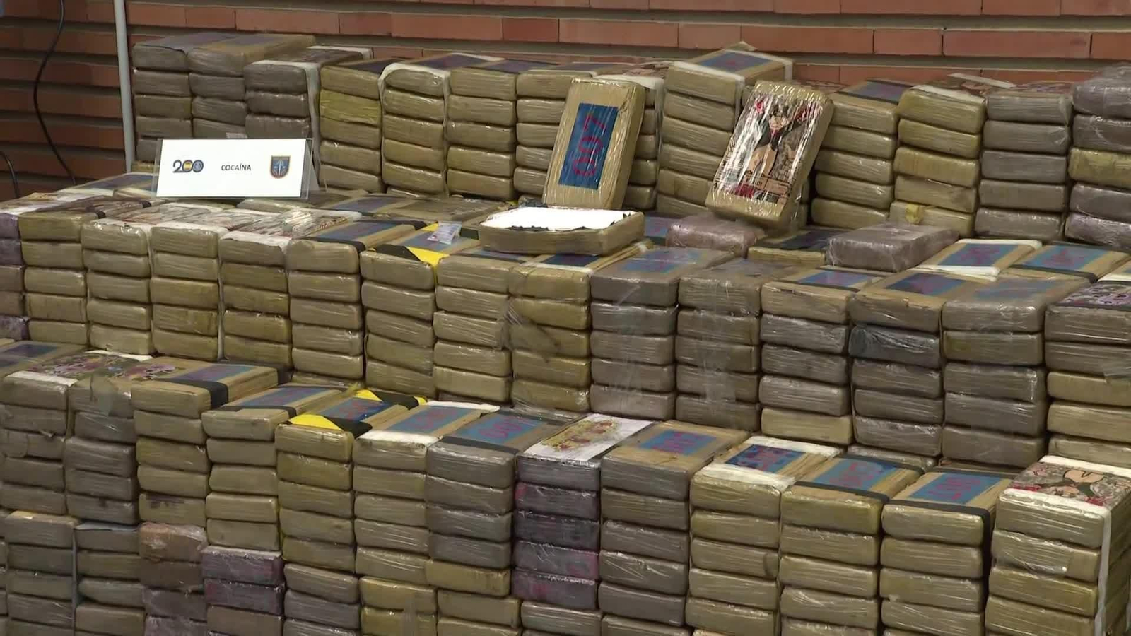 web operacion jalisco