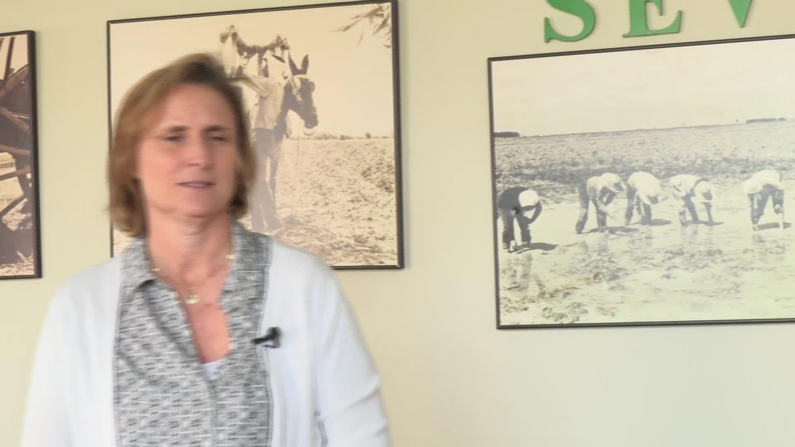 X053-SEVILLA ASAJA FERTILIZANTES