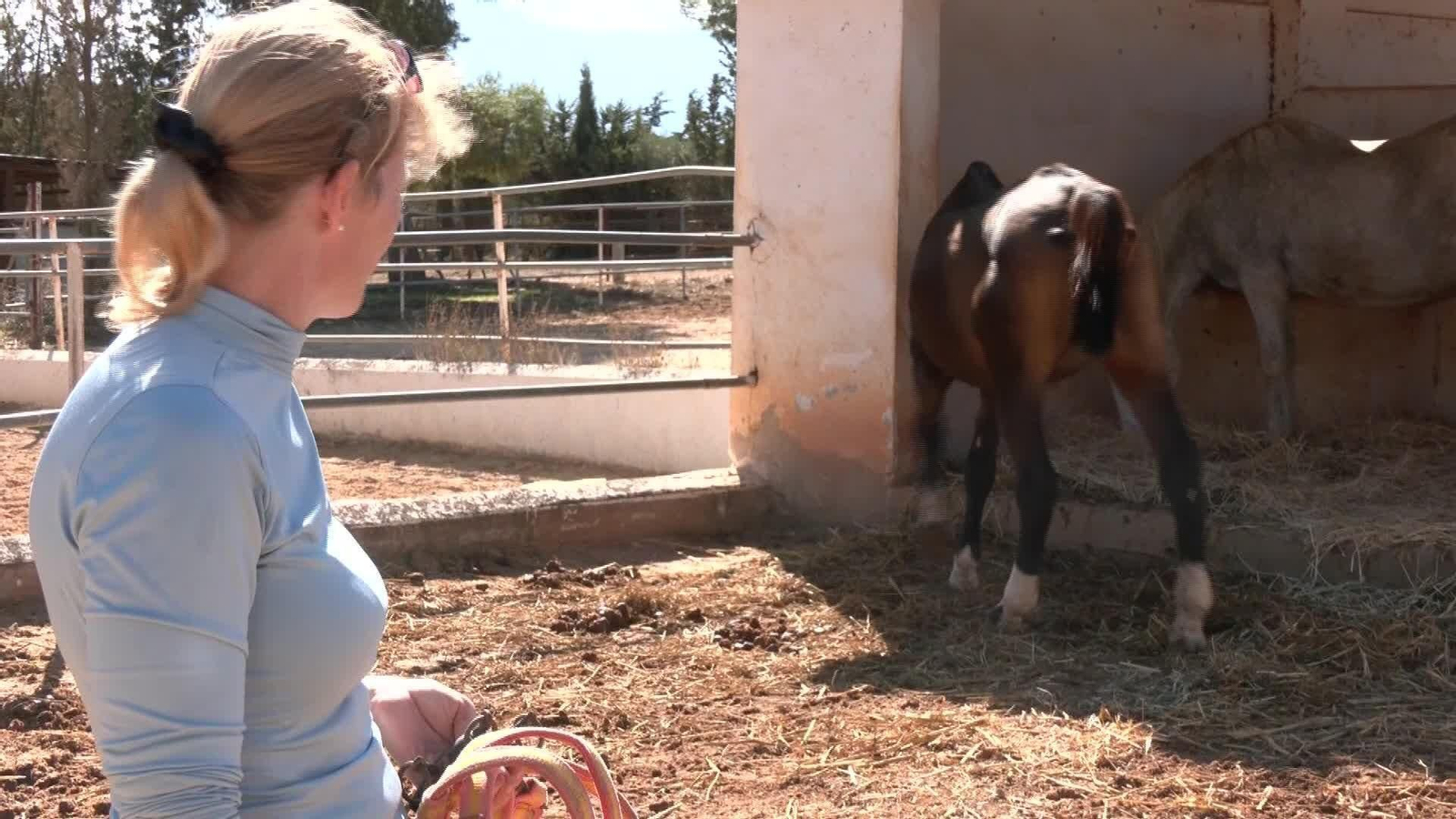 M045-MALAGA SANTUARIO CABALLOS ANTEQUERA
