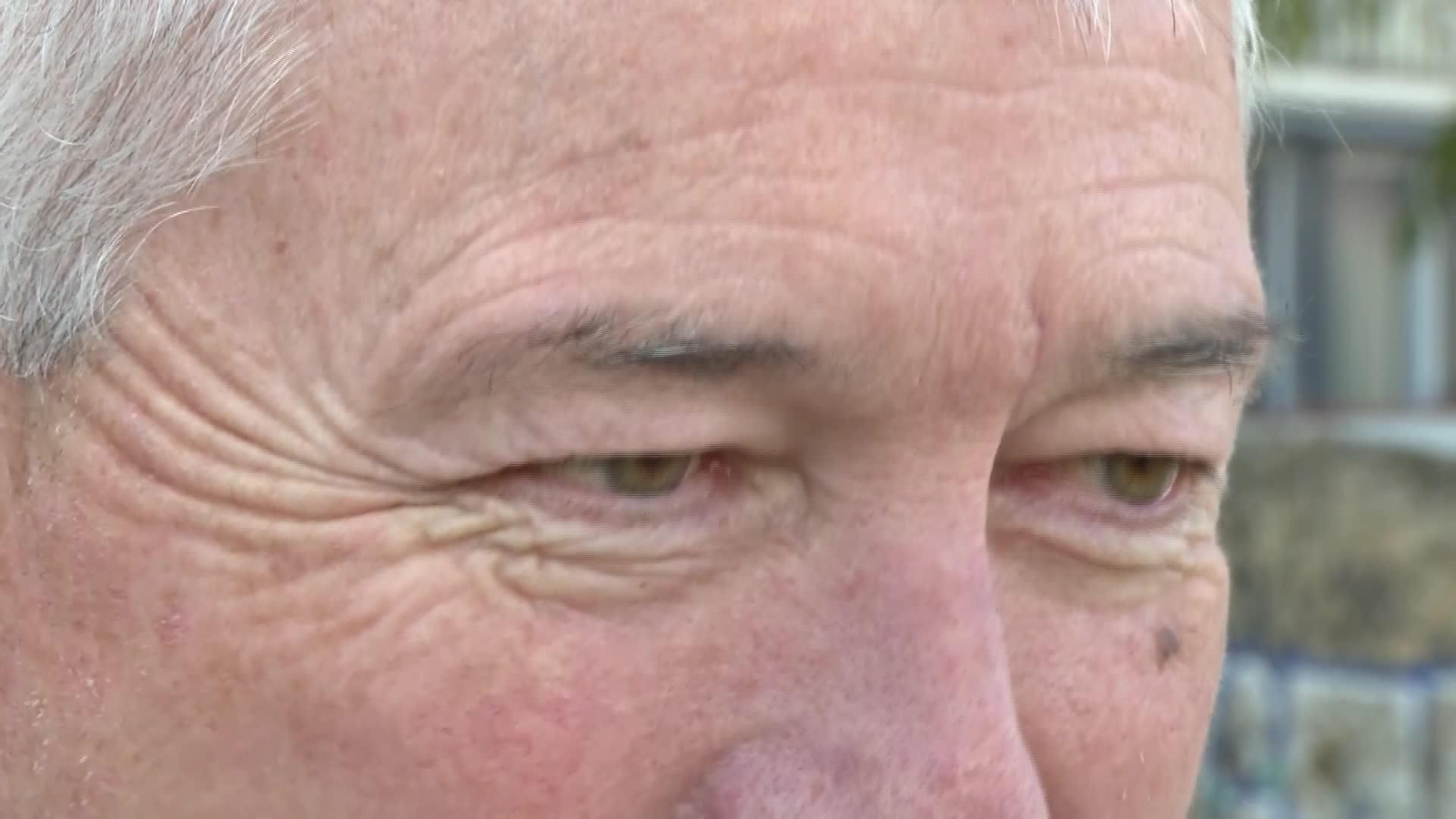 M075-BARCELONA CATEDRATICO SALUD ANIMAL