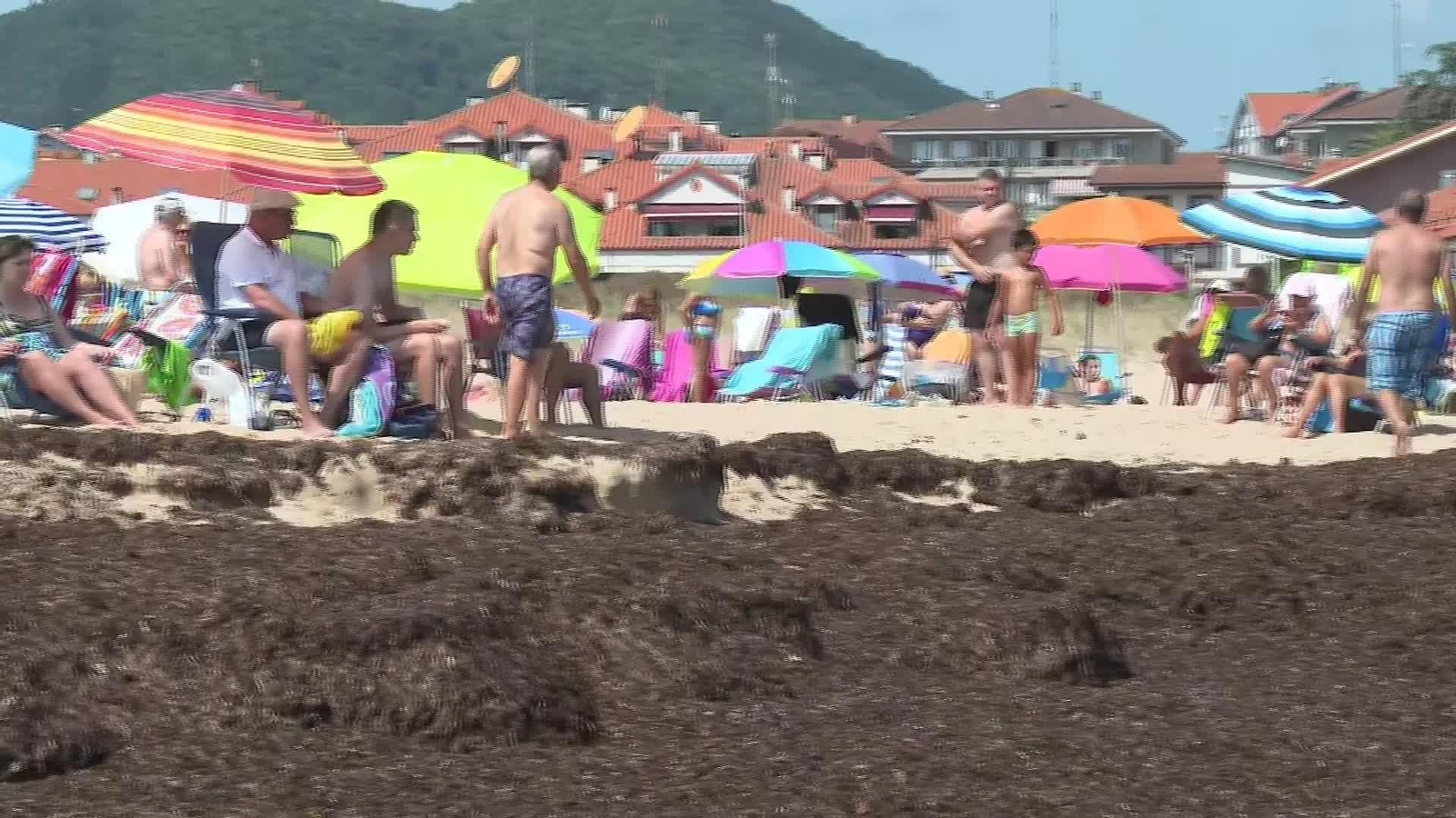 J057-EDI CANTABRIA MAR DE ALGAS EN NOJA