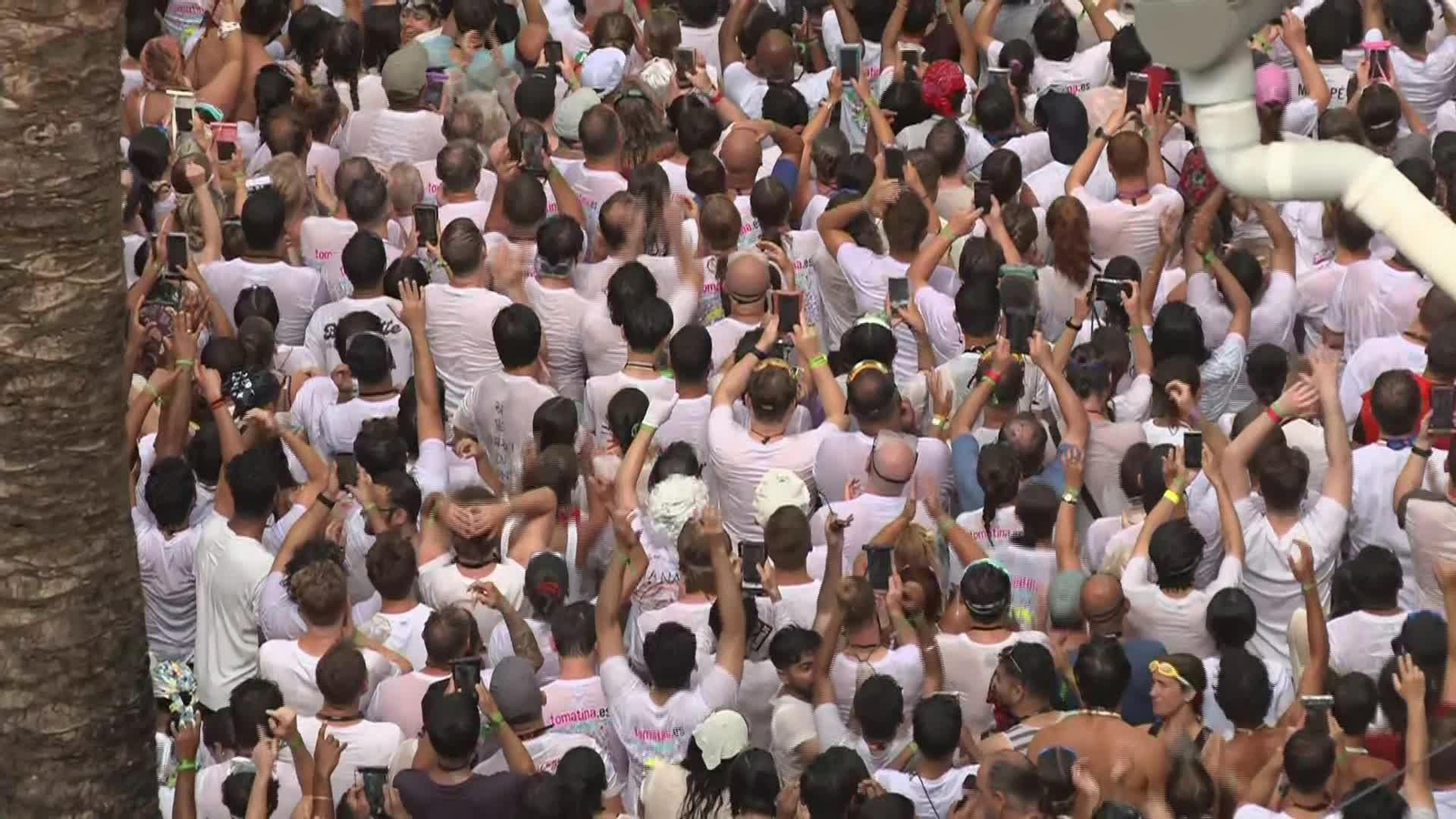 X048-EDI VALENCIA TOMATINA BUÑOL