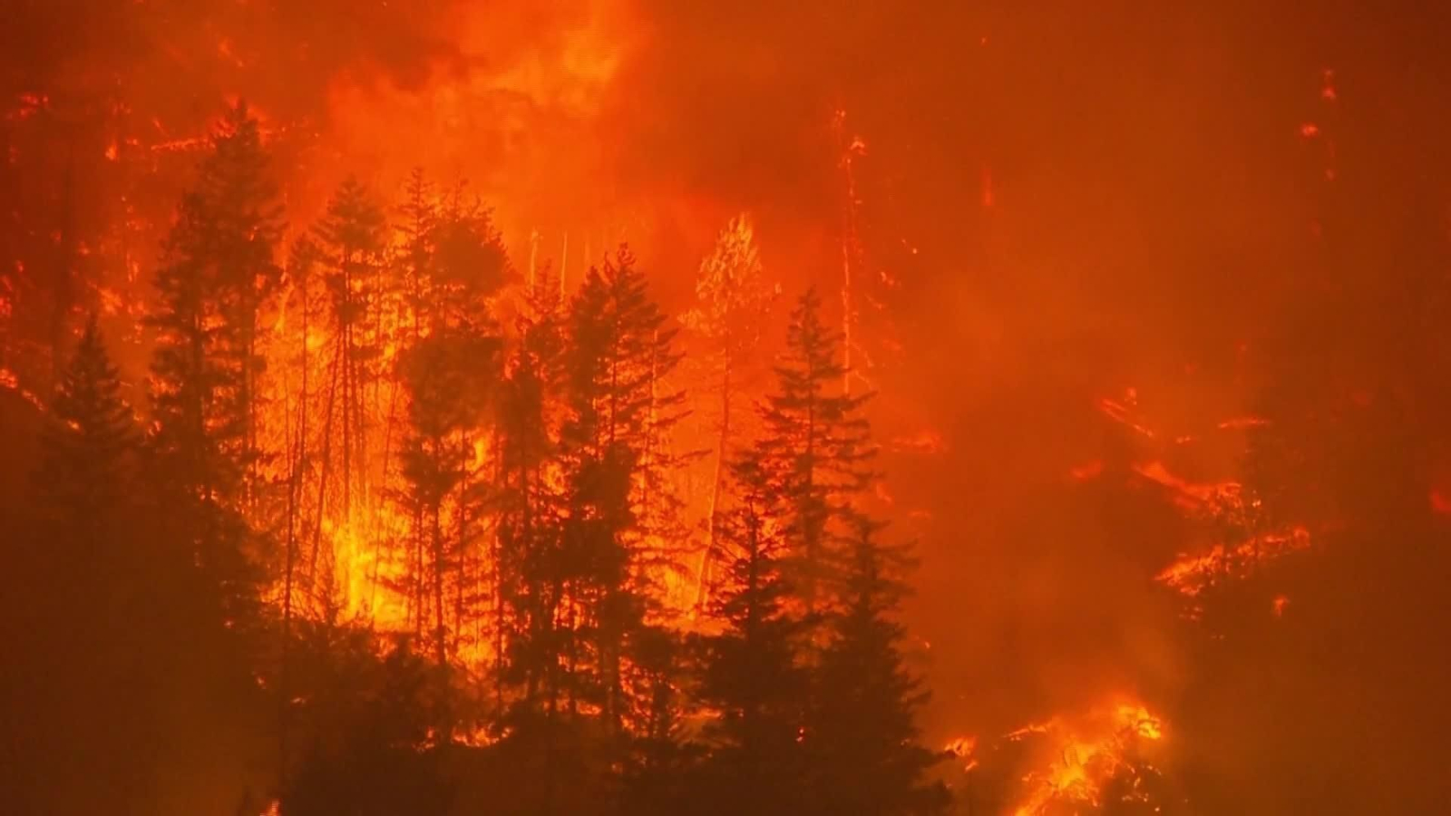 L005-CANADA INCENDIO