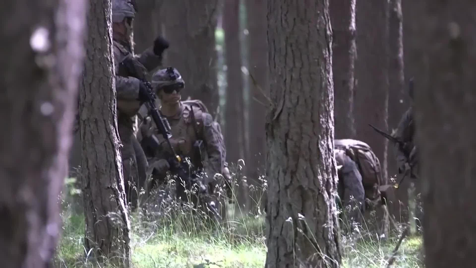 web epica y riesgo golfo persico