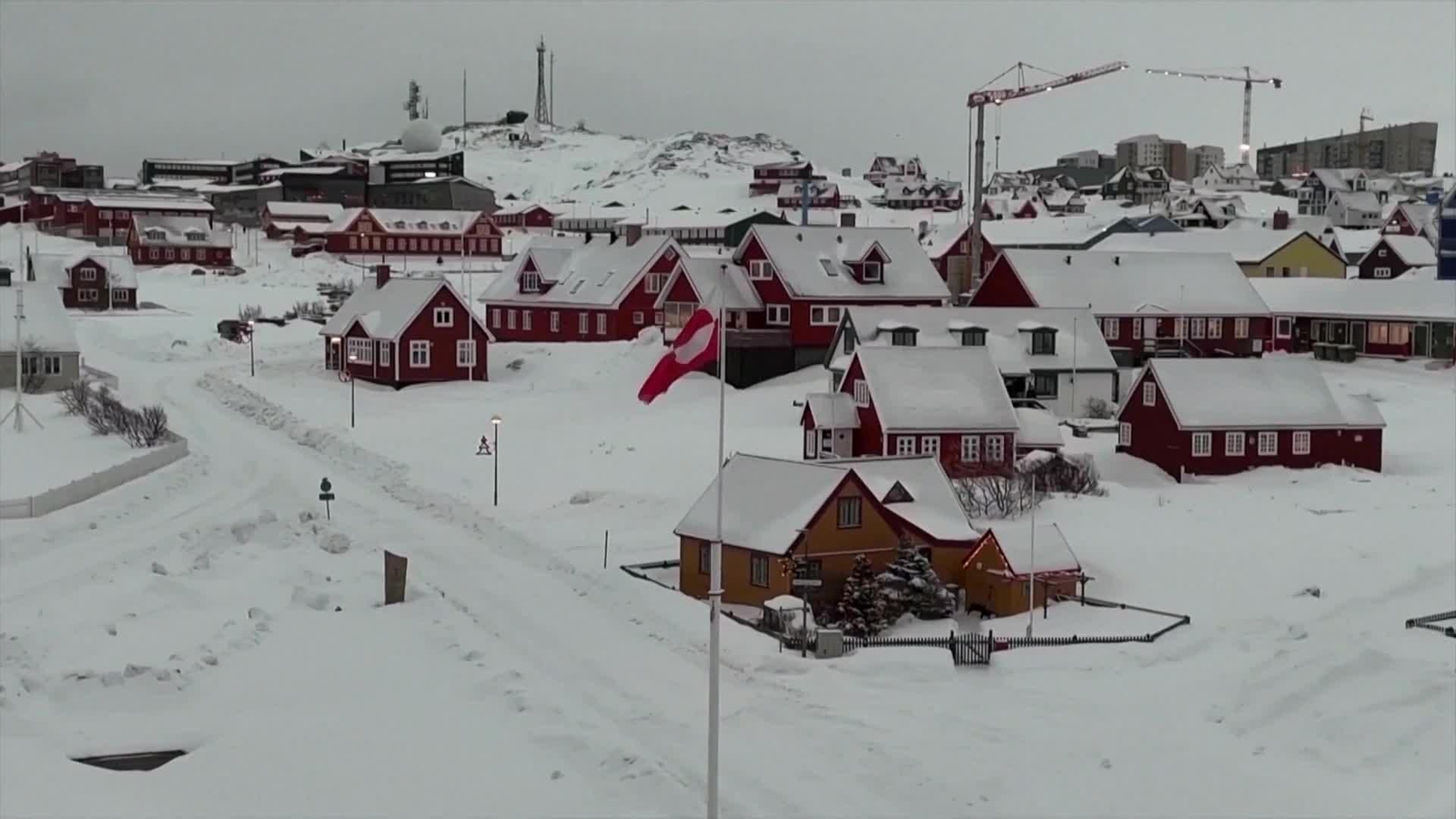 web groenlandia cañi