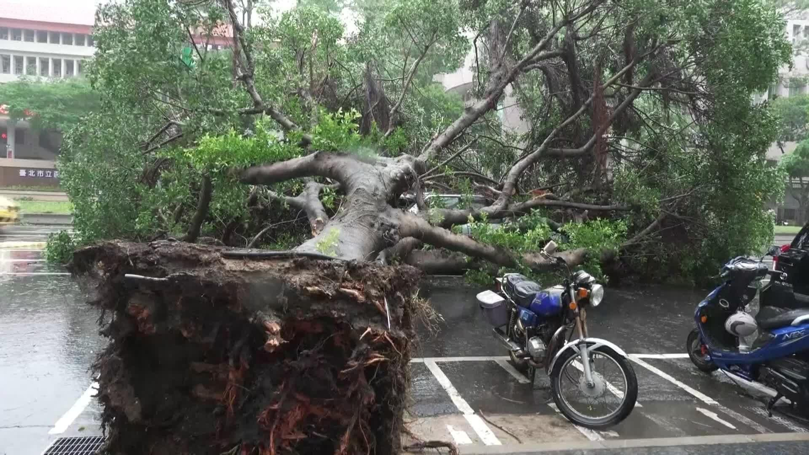 S001-TAIWAN TEMPORAL DAÑOS