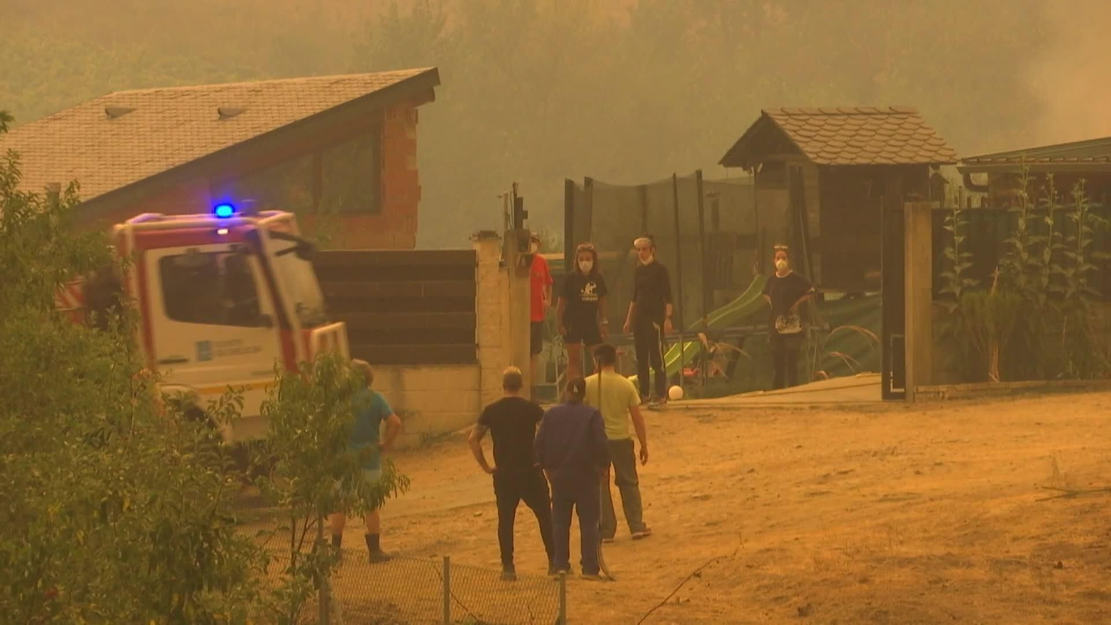 web balance forestales