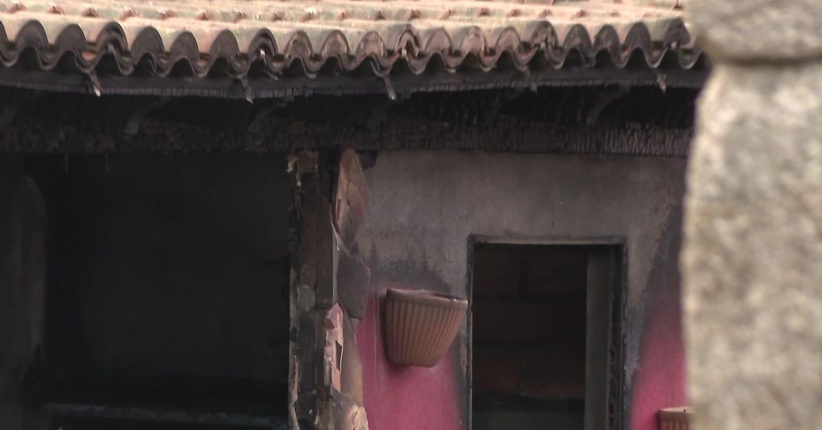 6863f101-2c06-4474-bf73-15b0529daf9e_fac