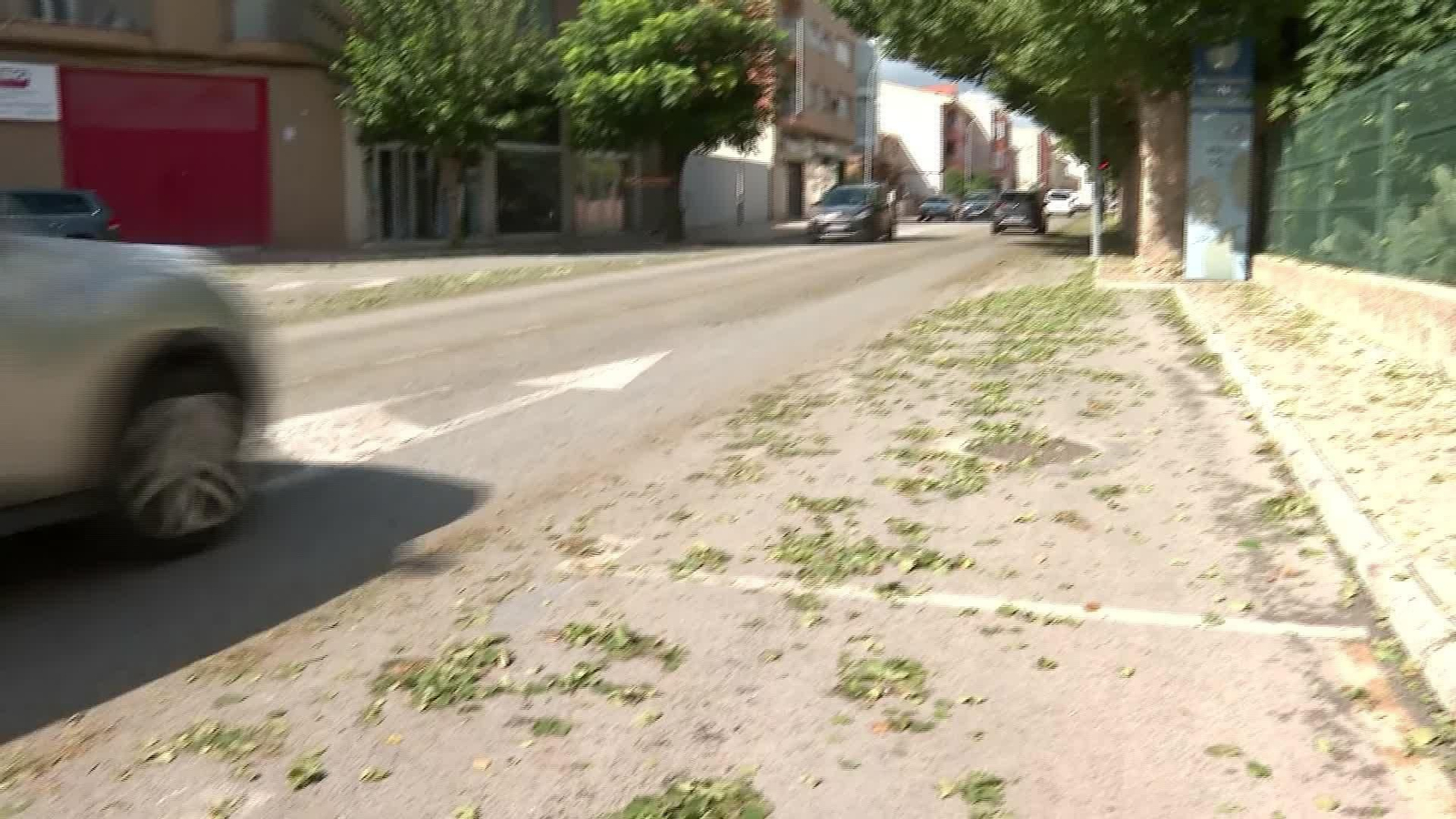 X036-MURCIA DIA DESPUES GRANIZADA CEHEGIN