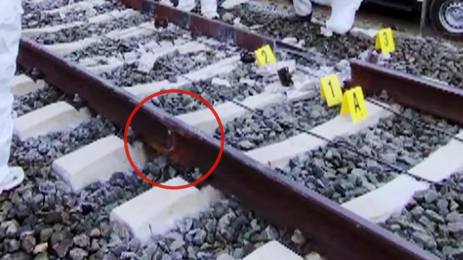 web informe adamuz ok