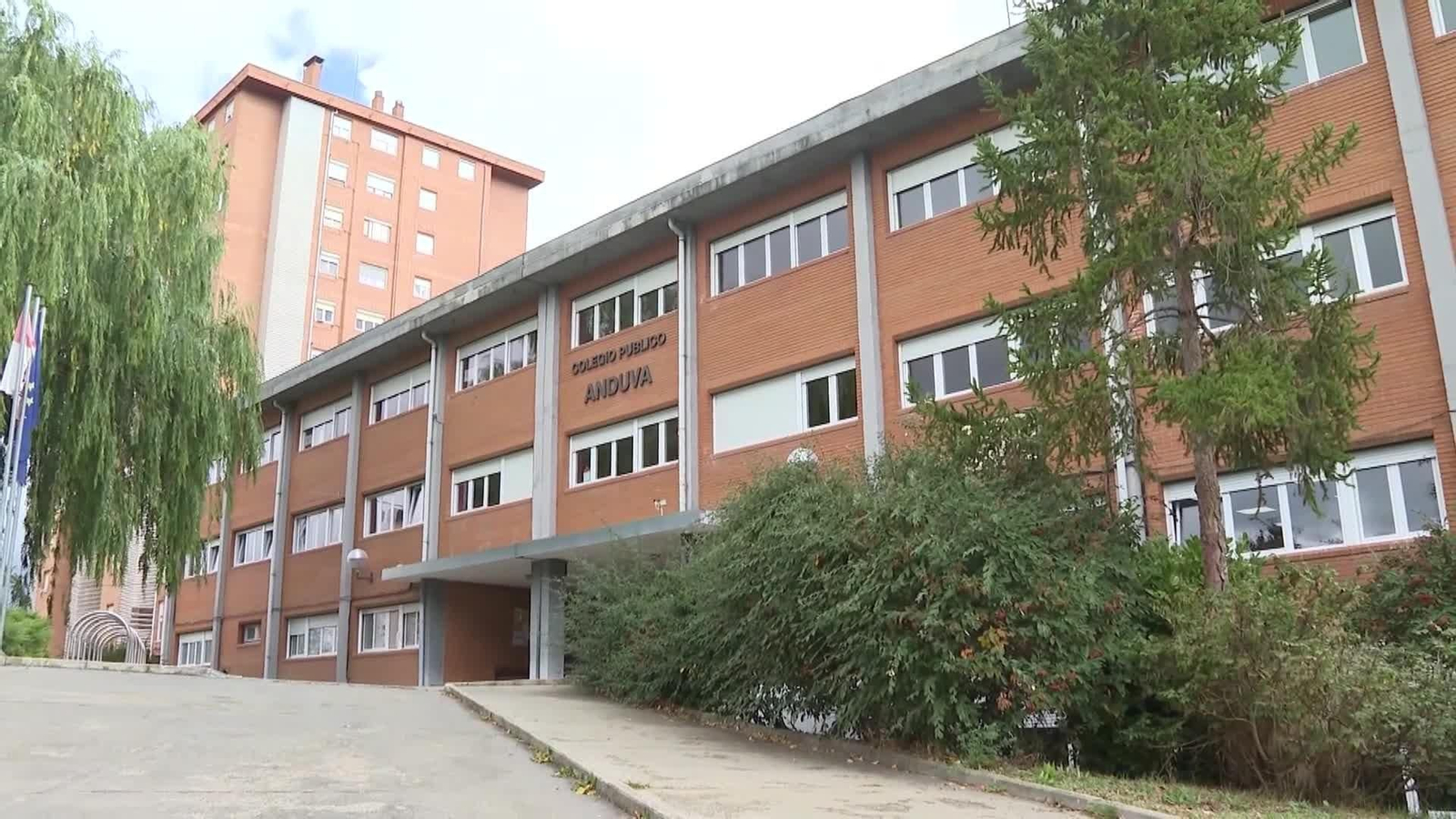 web bando de olores colegio