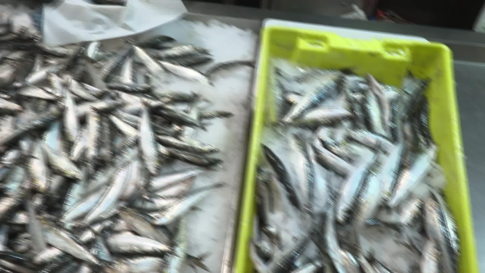 M031-A CORUÑA VENTA SARDINAS MERCADO