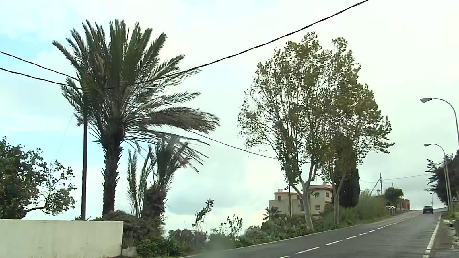 S032-TENERIFE BORRASCA EMILIA