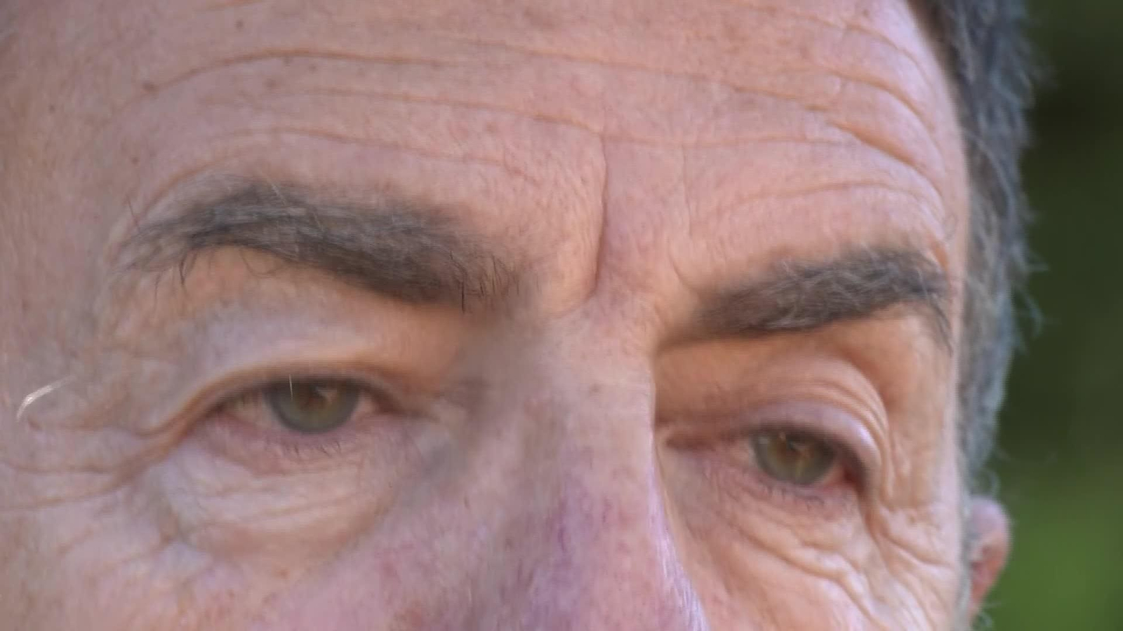 X084-GRANADA LORENTE EXPERTO VIOLENCIA DE GENERO