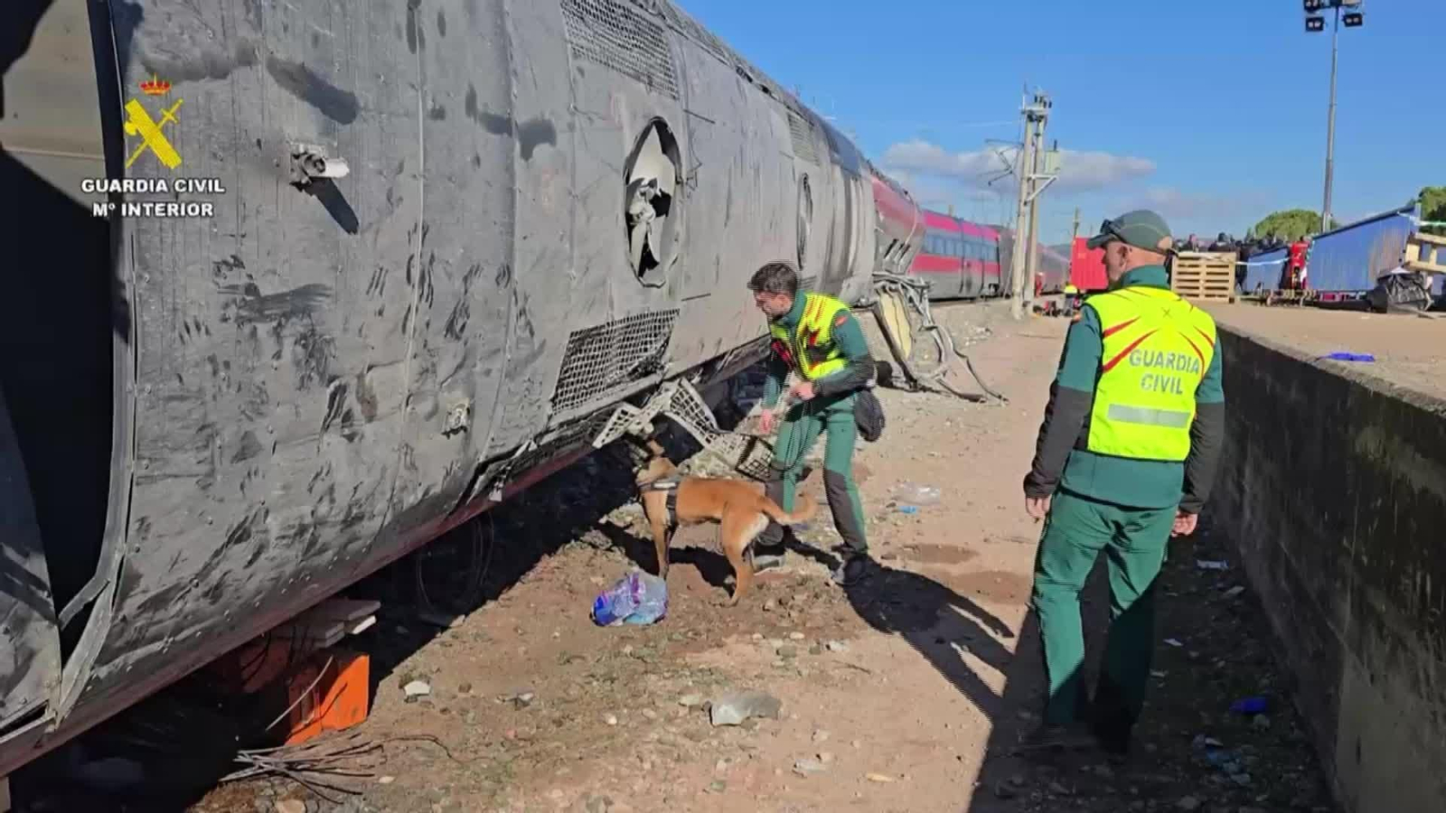 M023-IMAGENES GICIVIL PERROS RASTREANDO ZONA CERO TRENES