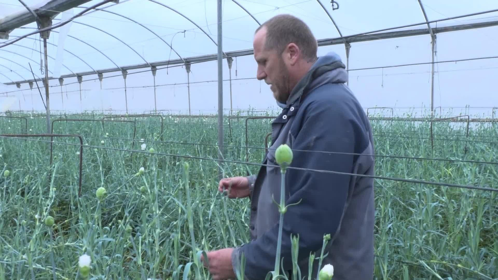 L032-VARIOS AGRICULTORES AFECTADOS POR LLUVIAS