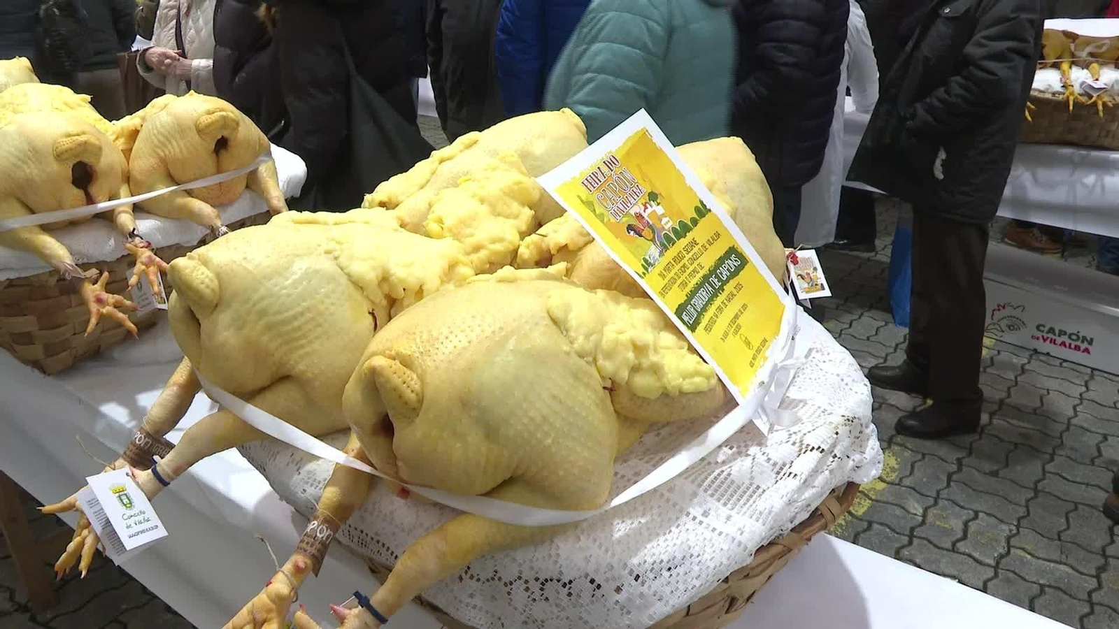 D018-LUGO FERIA CAPON VILLALBA