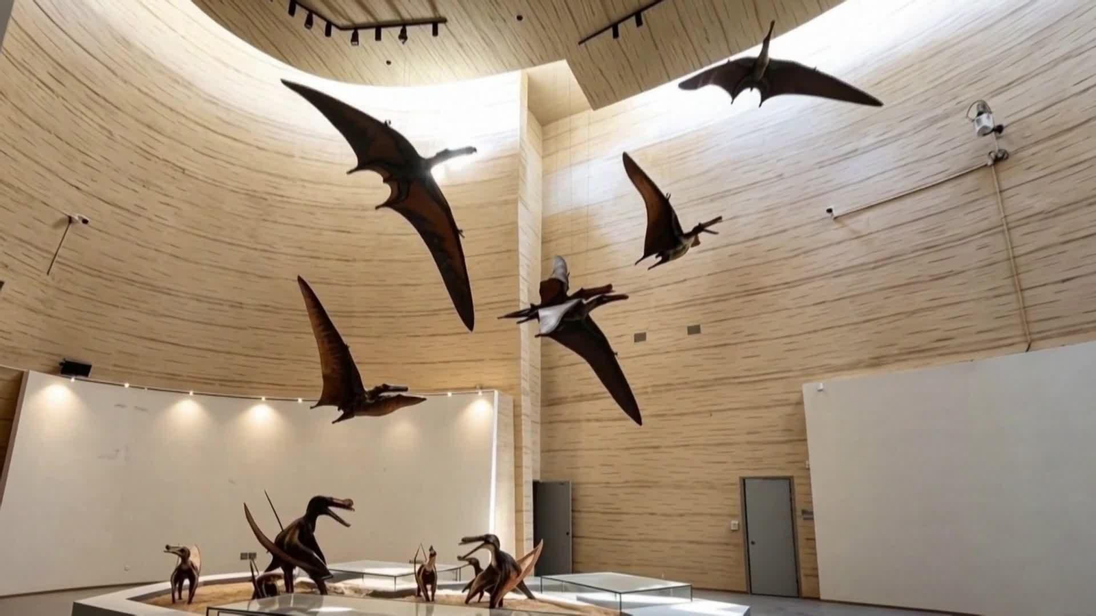 va china museo pterodactilo