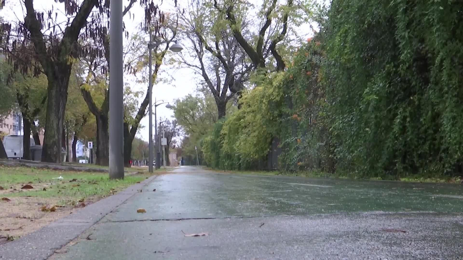 web patinetes traumatologia