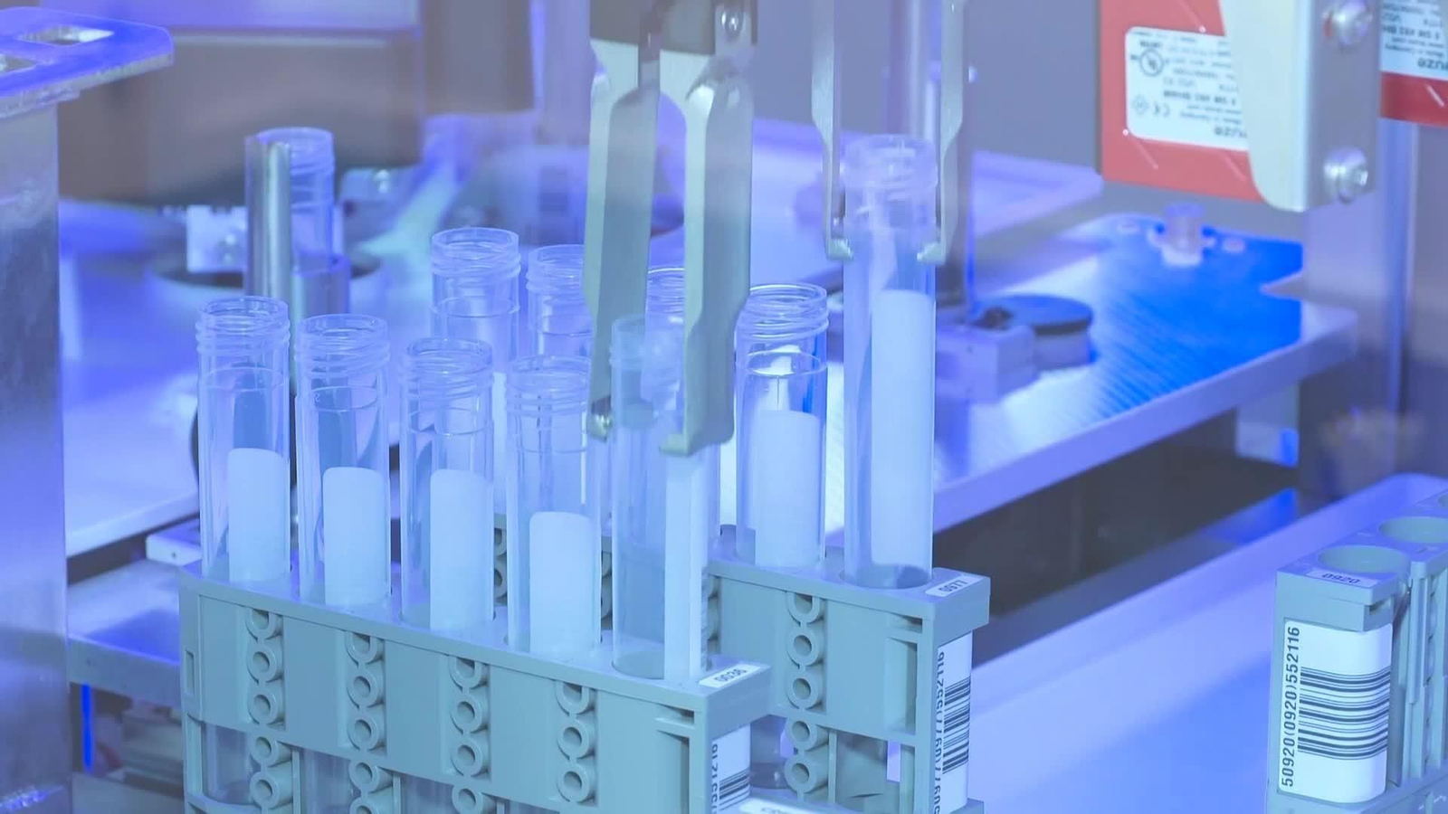 web lugo cribados cancer