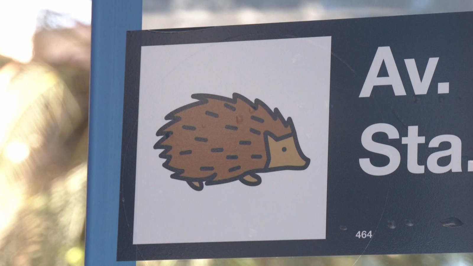 malaga pictogramas marquesinas