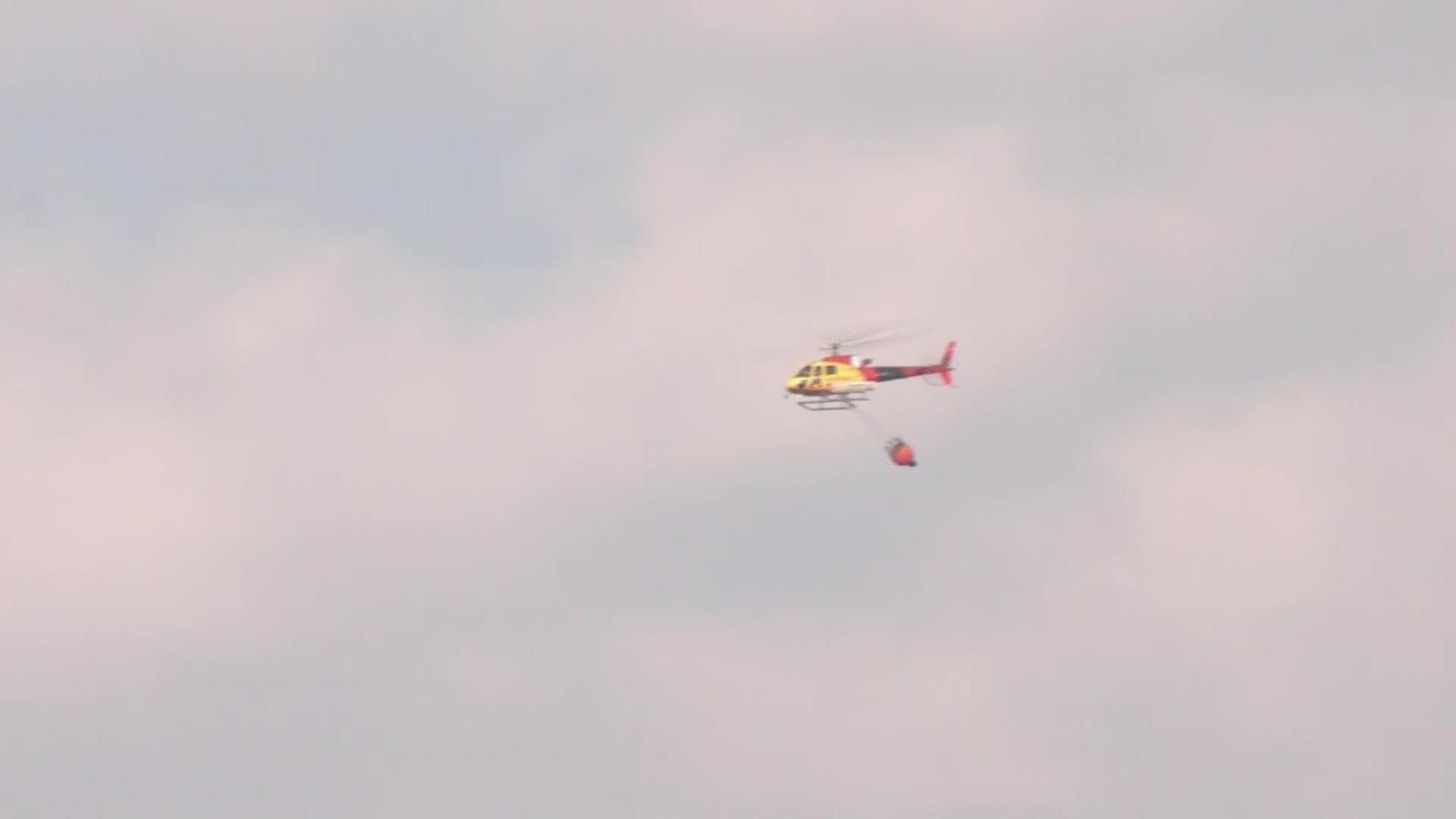 J075-CÁCERES INCENDIO JARILLA TARDE