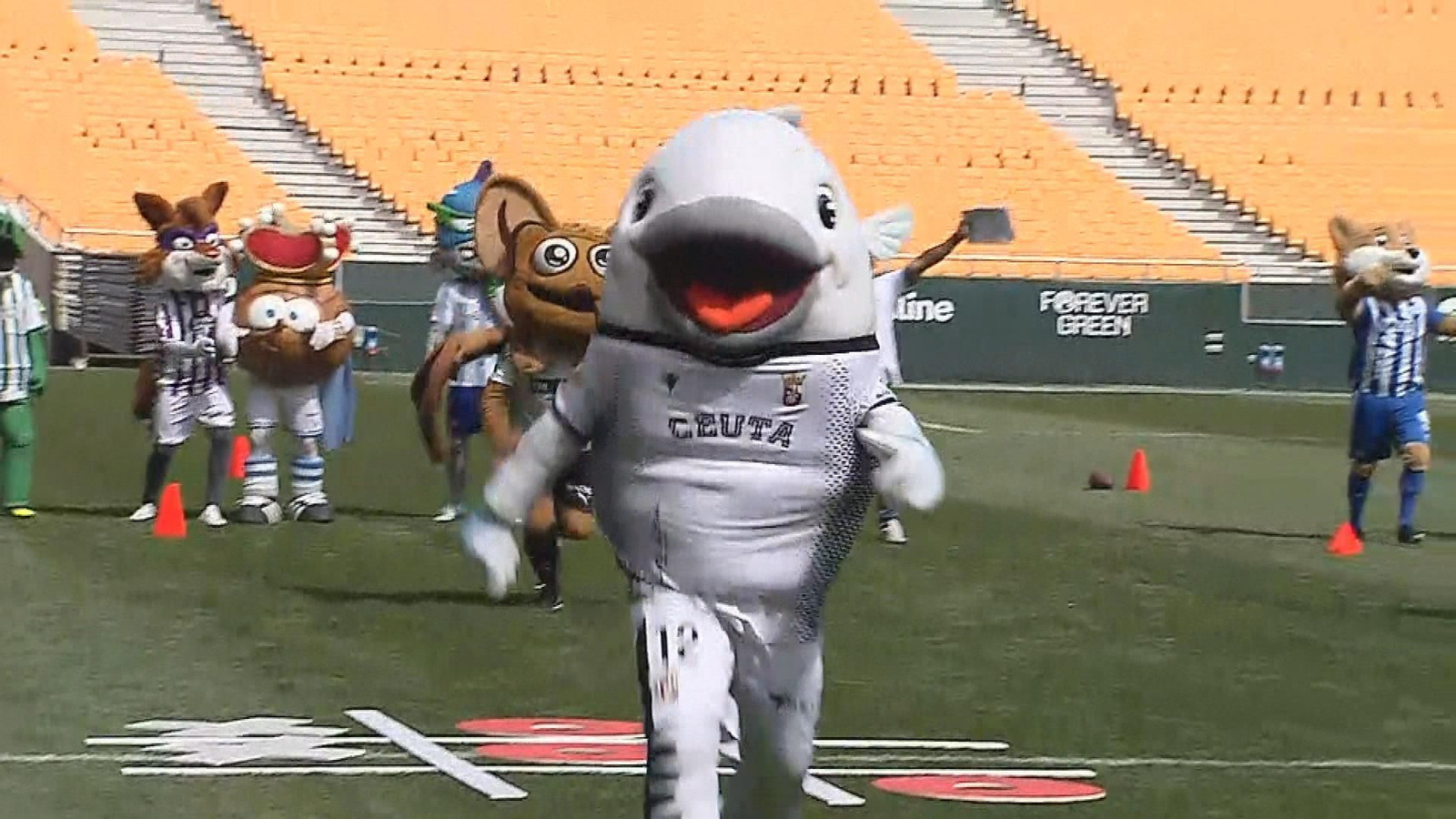 LALIGA de las Mascotas regresa un año más para acercar el fútbol a los más pequeños