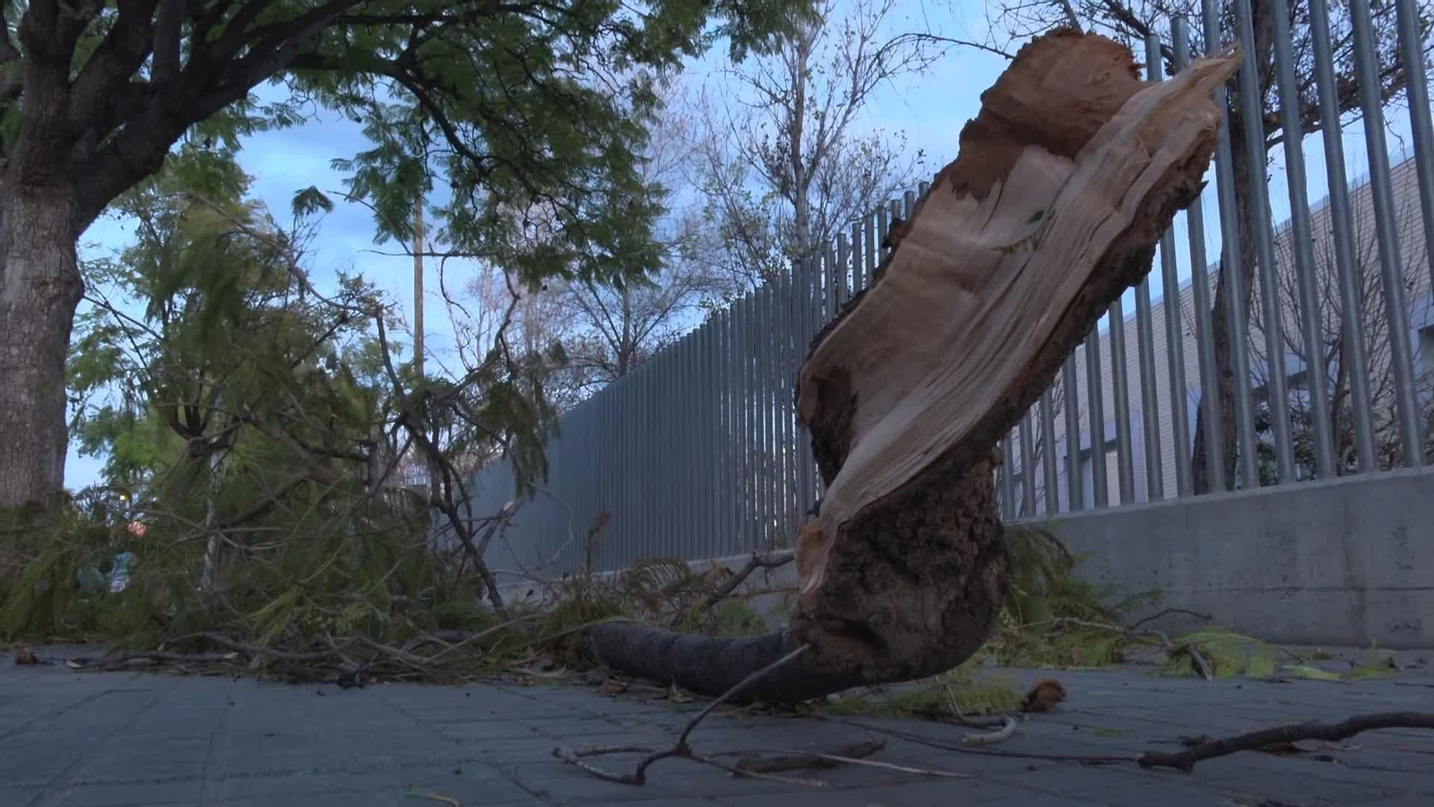 X078-ALICANTE VIENTO TARDE