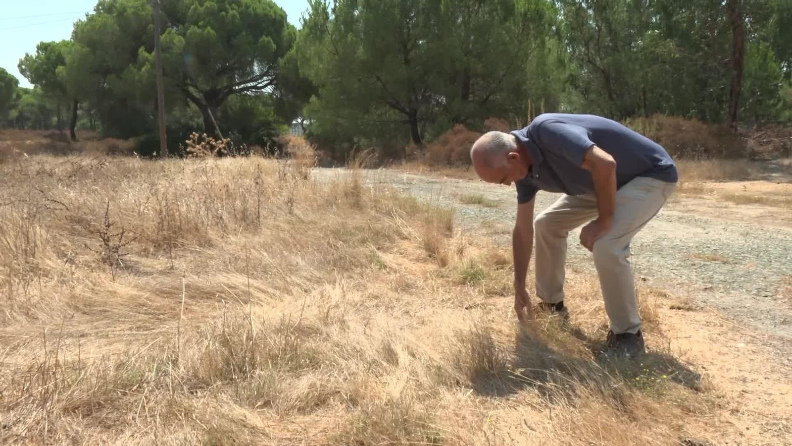 L053-HUELVA INGENIERO SOBRE INCENDIOS SEXTA GENERACION