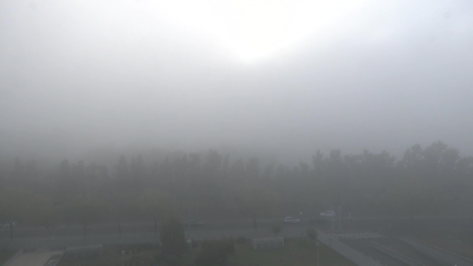 S019-SEVILLA NIEBLA MATINAL DENSA