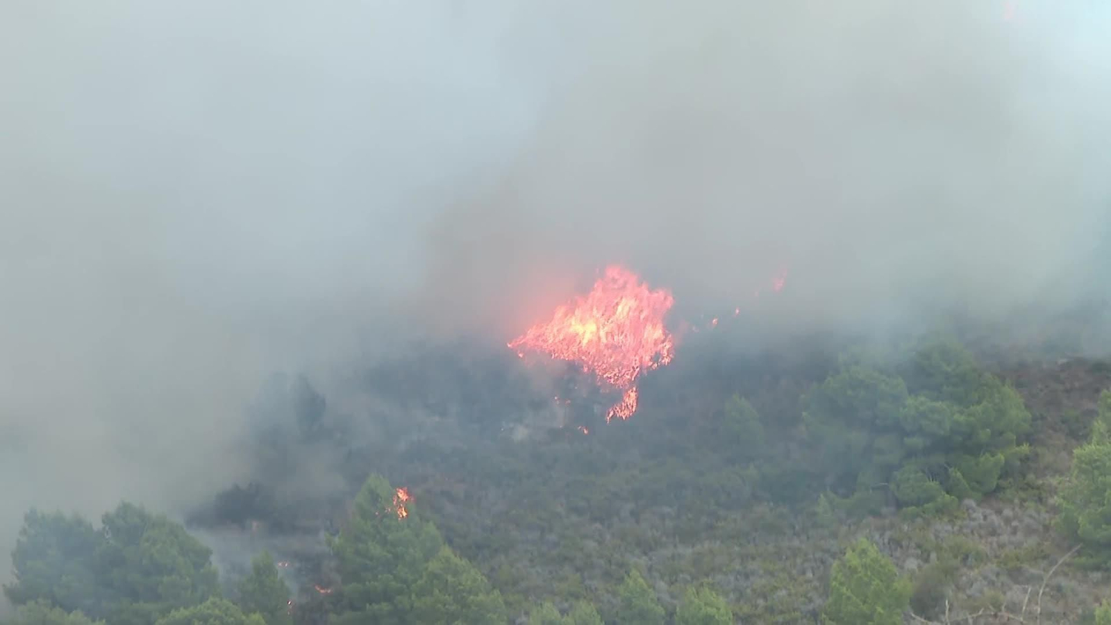 web incendio segorbe