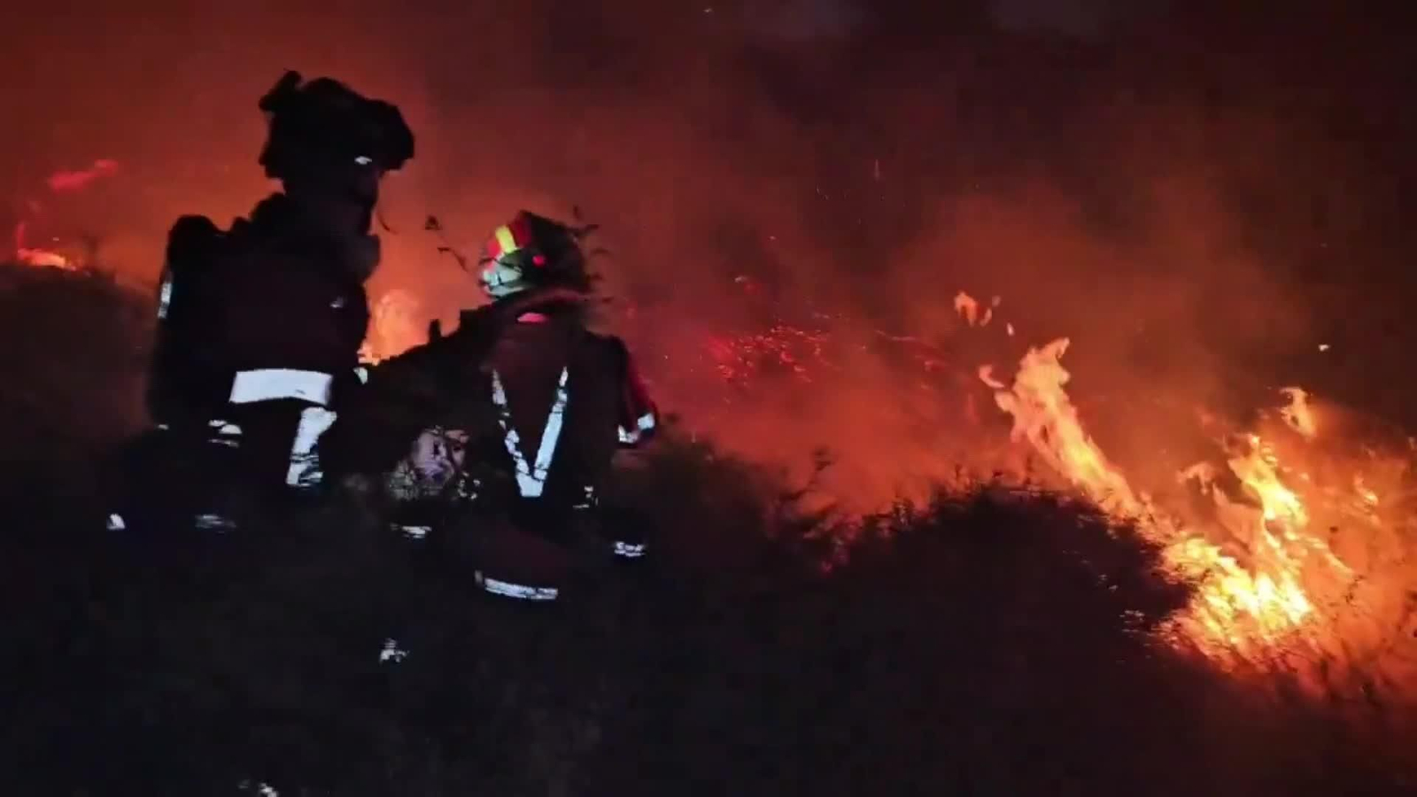 web incendio zaragoza