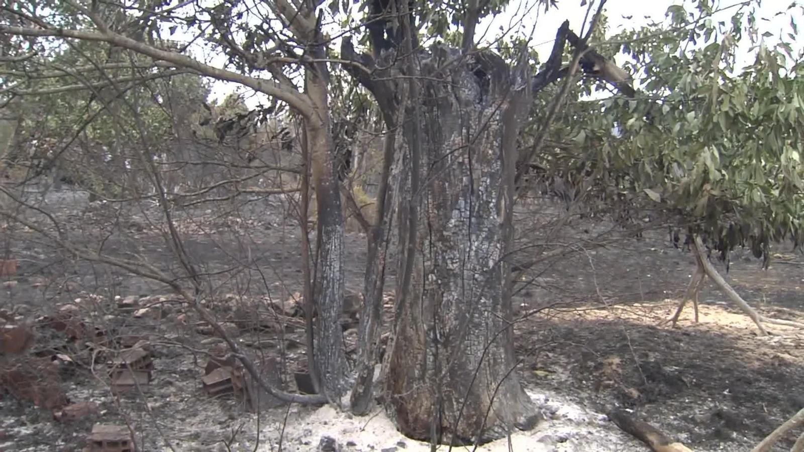 M023-LEON SEGUIMIENTO INCENDIO LAS MEDULAS