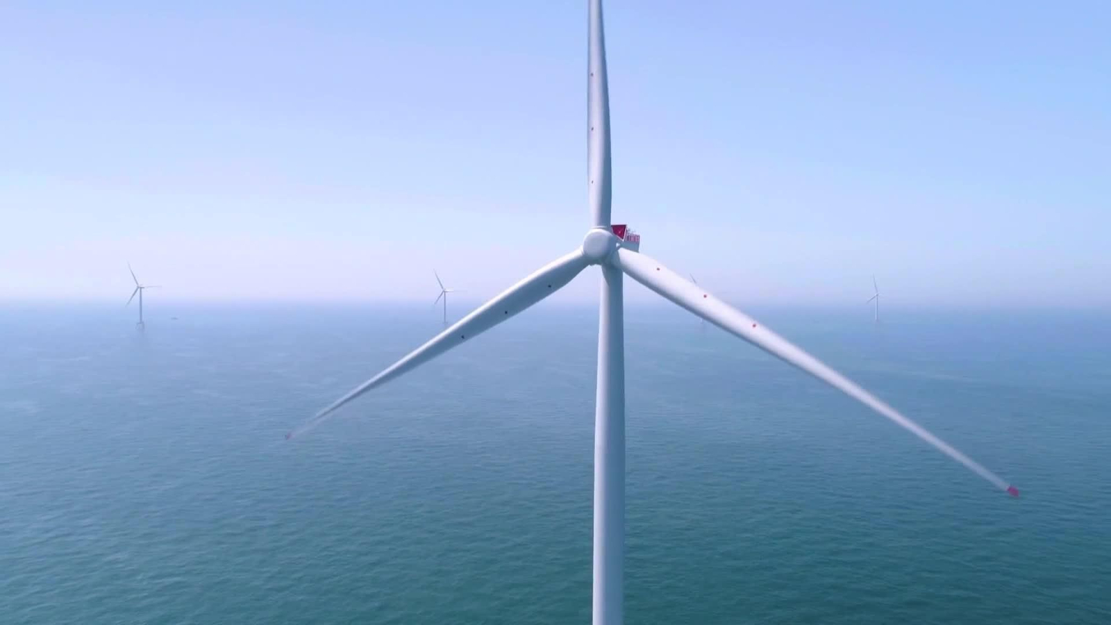 web resurgir electrico