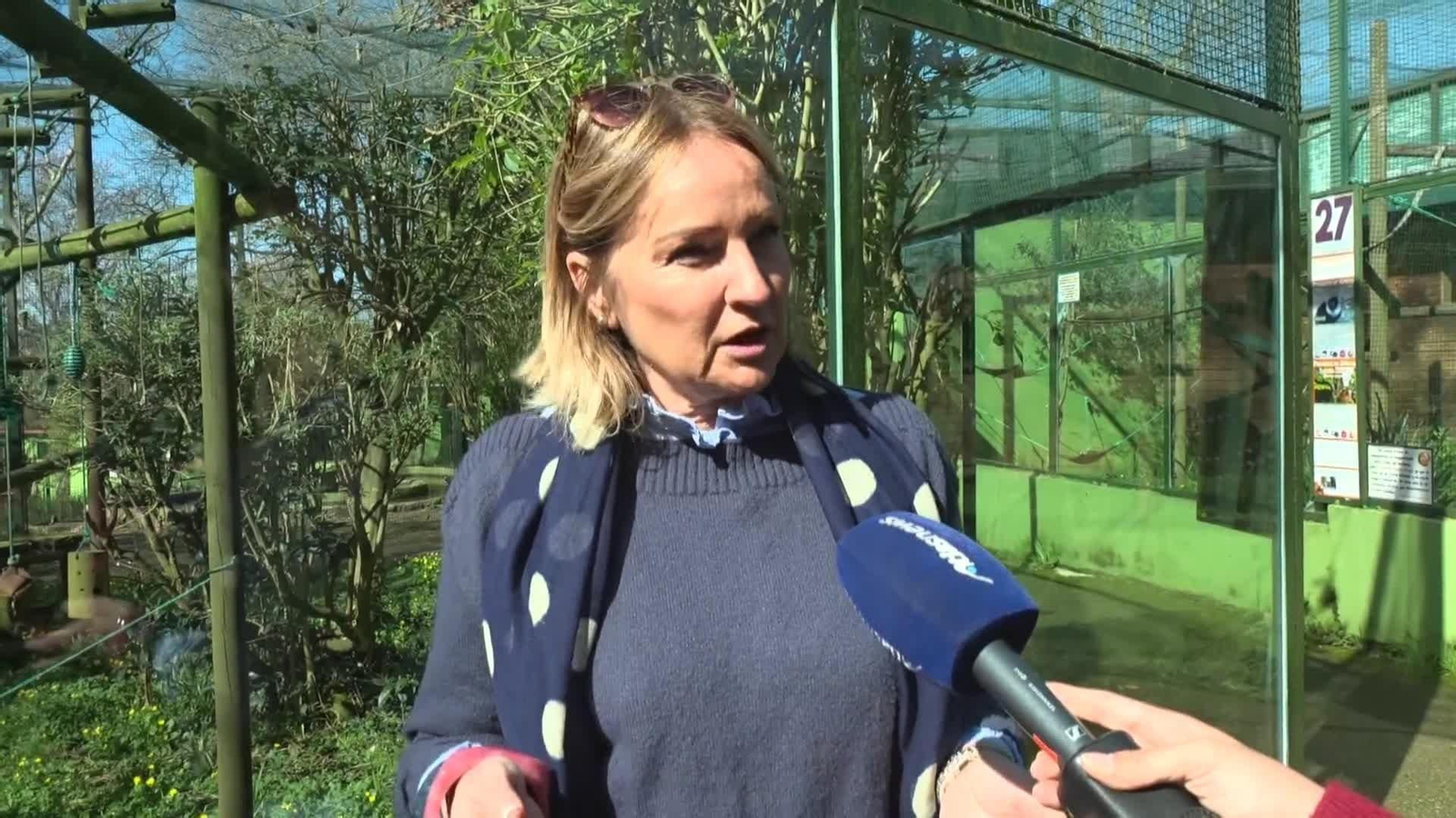 web monito zoo de santillana