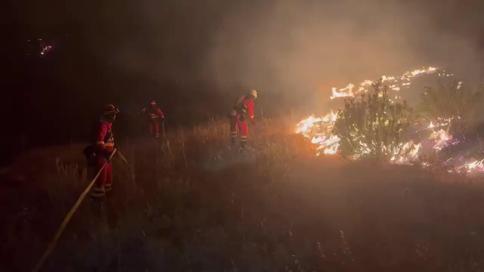 va imagenes ume niebla