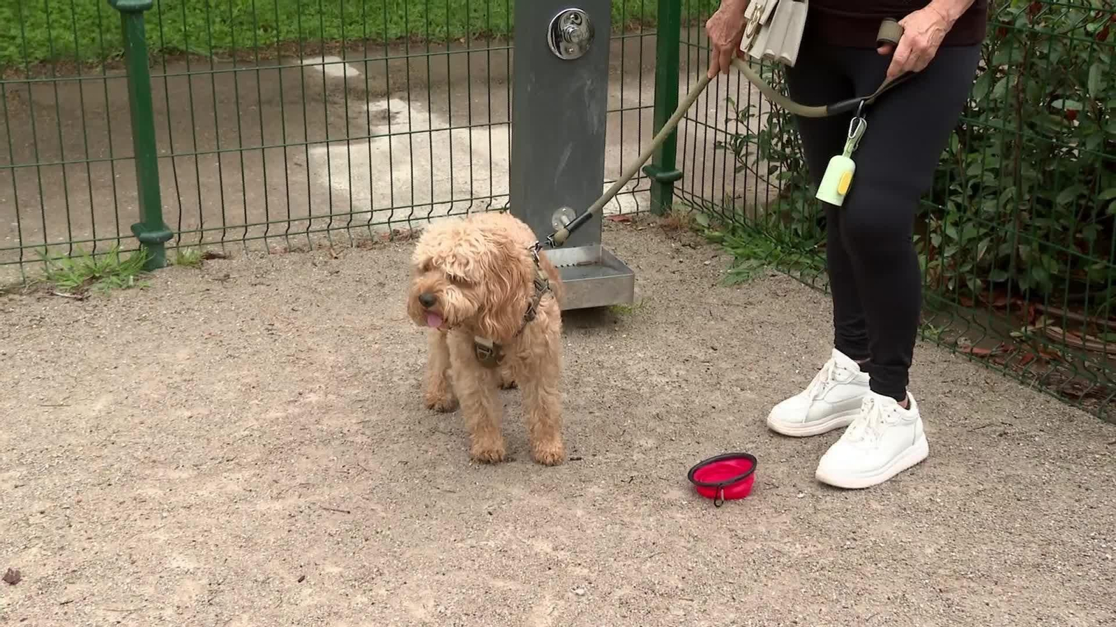 L032-BILBAO MASCOTAS ECLIPSE