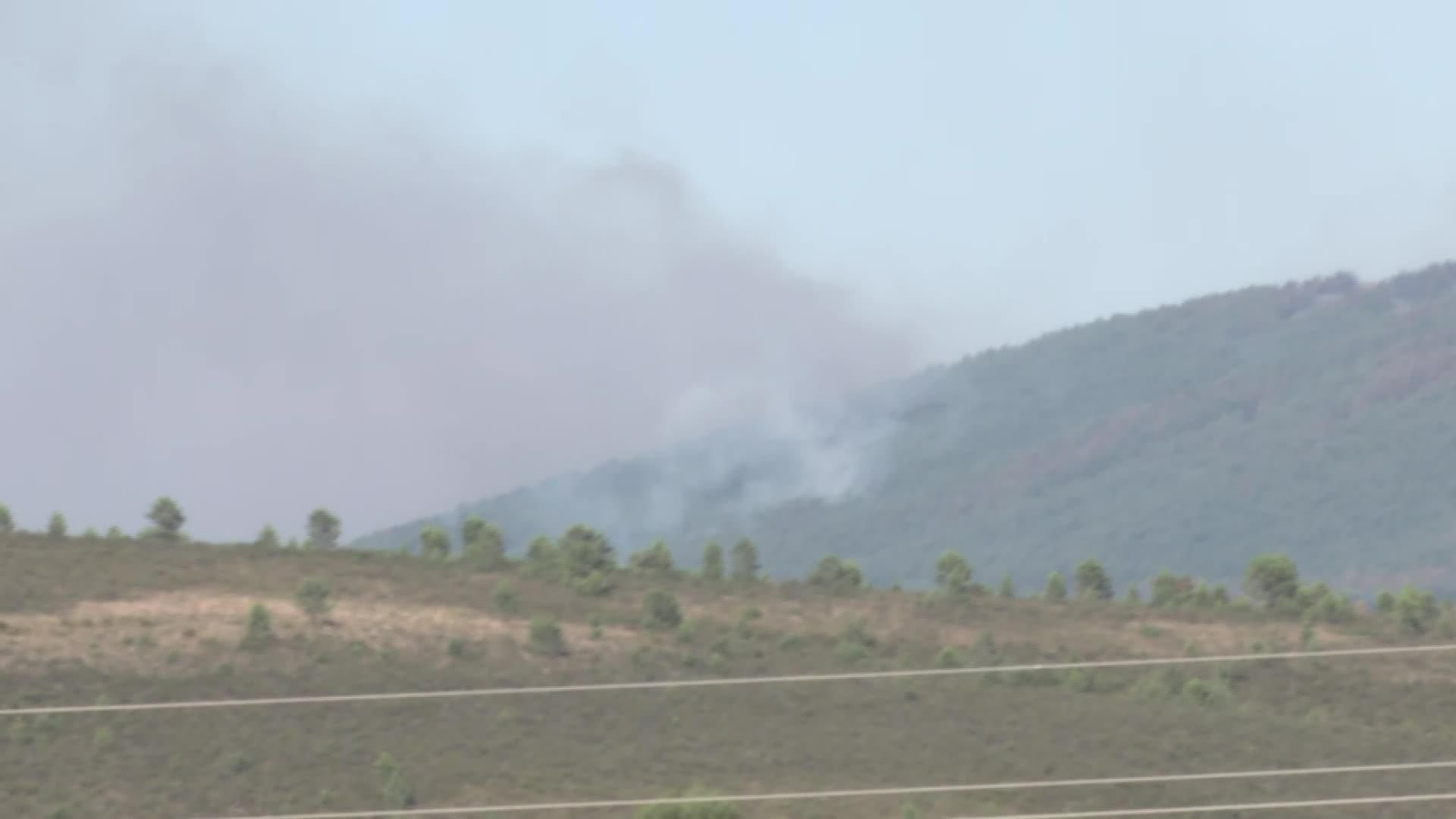 D019-GUADALAJARA INCENDIO LA MIERLA DOMINGO TARDE