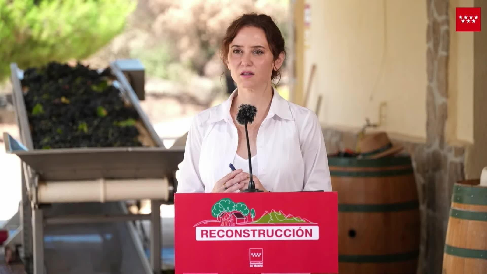 va ayuso