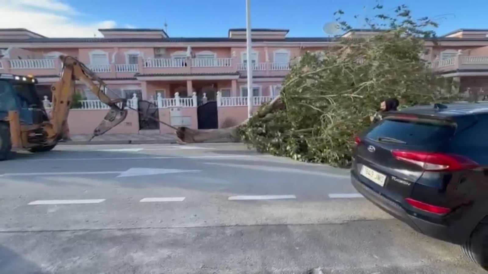 web daños del viento