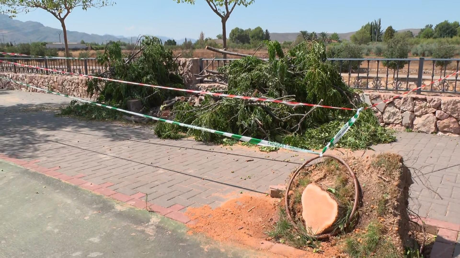 JUMILLA