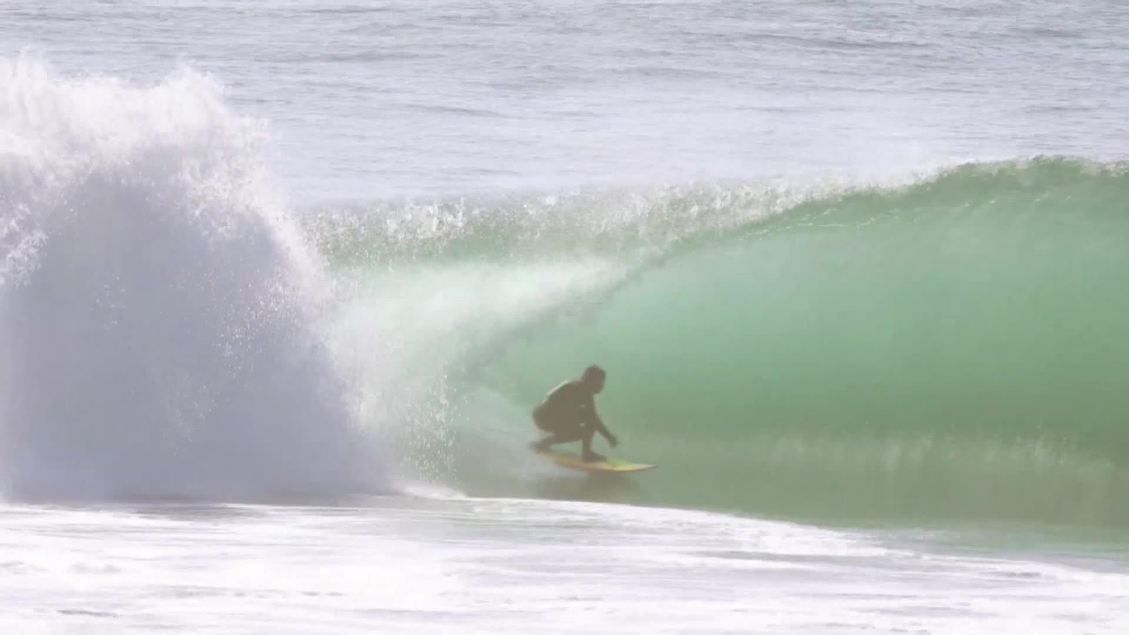 web surfista ok