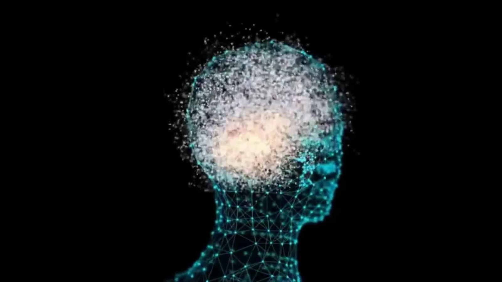 M068-EDI VARIOS IDIOMAS Y CEREBRO