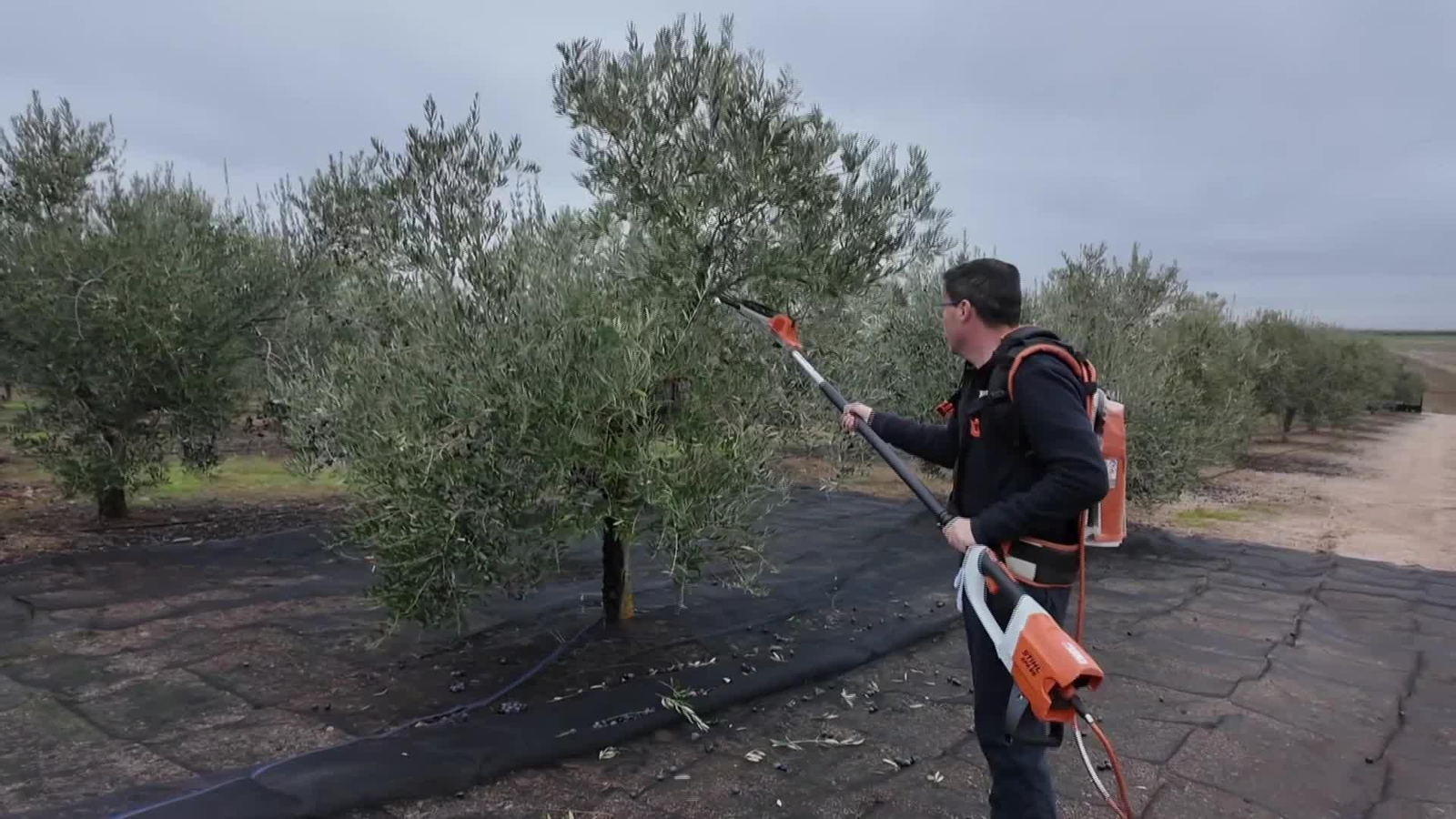 S038-BADAJOZ GALLARDO PSOE REFLEXION