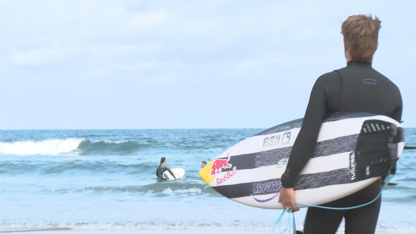 SURF