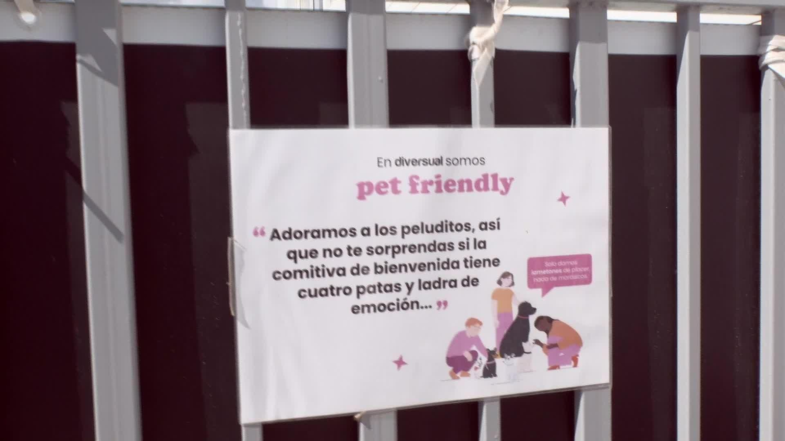 M048-ALICANTE PERROS EN LA OFICINA