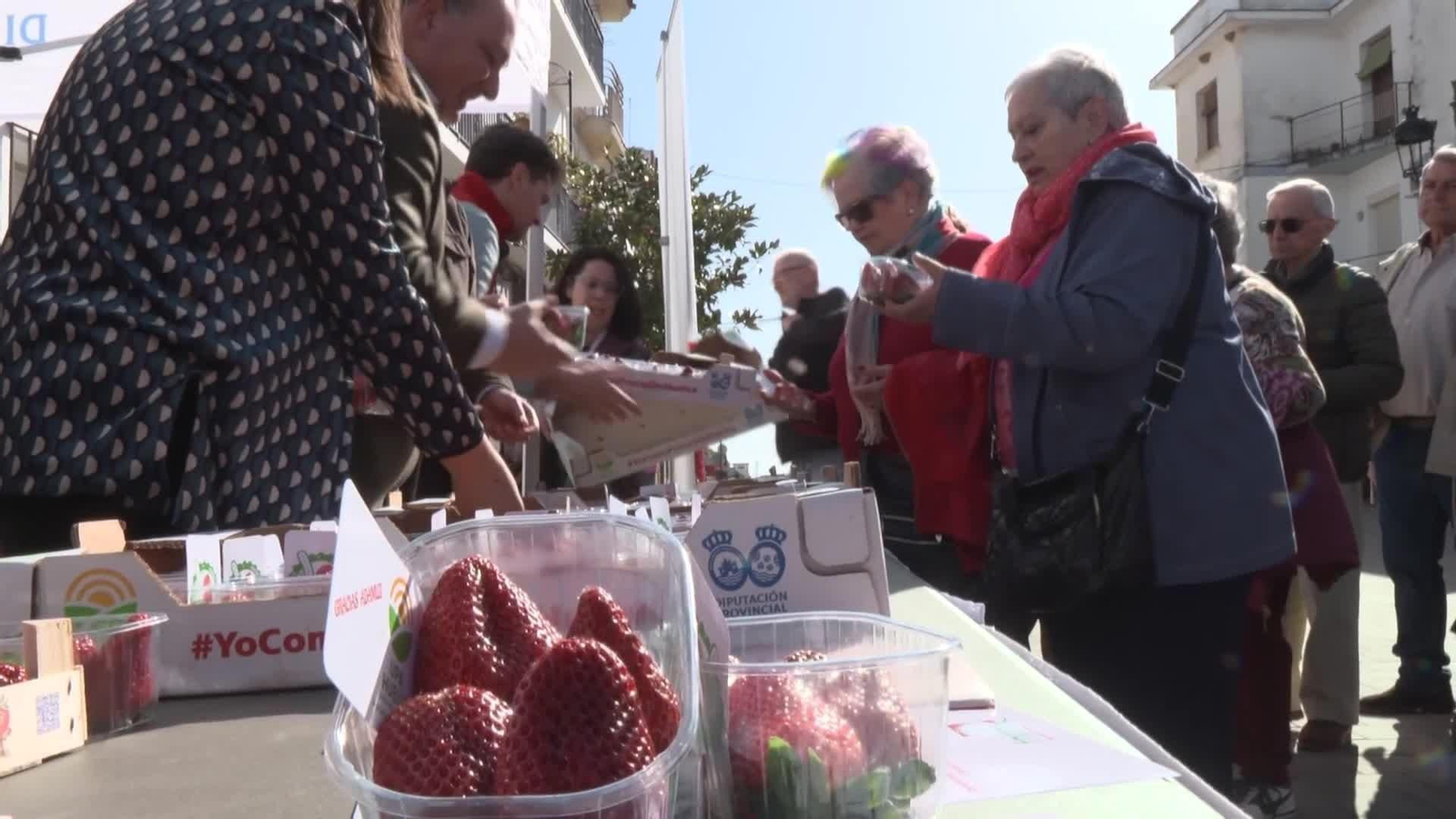 va fresas de huelva para afectados adamuz