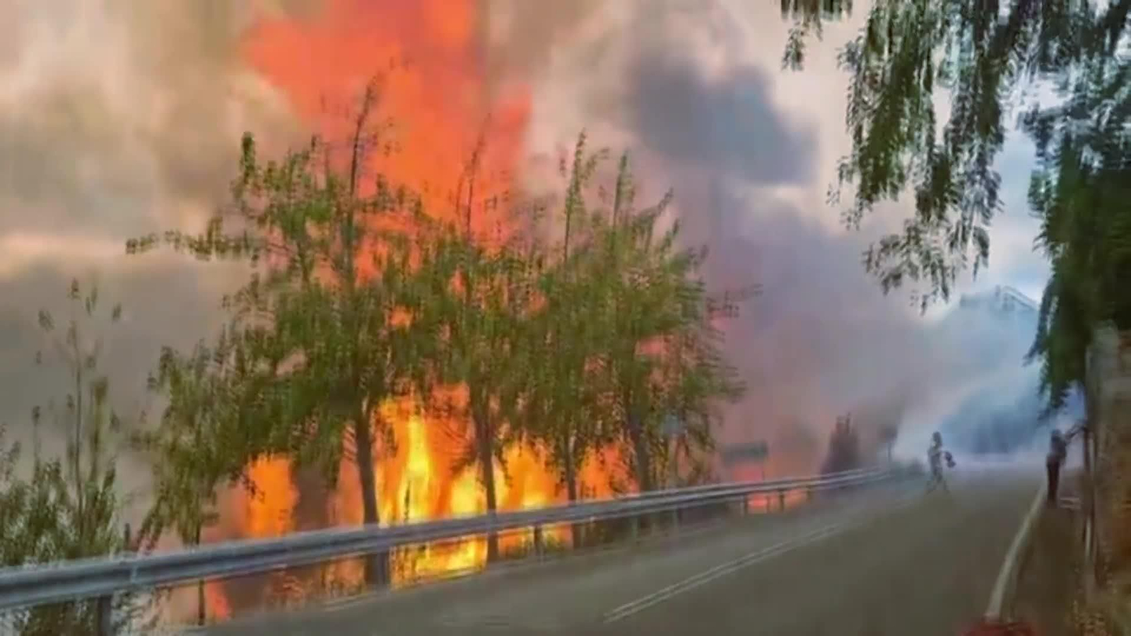 web ayudas incendios **QUITAR AKILES**